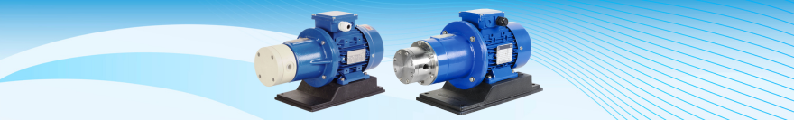 mag drive rotary vane pumps