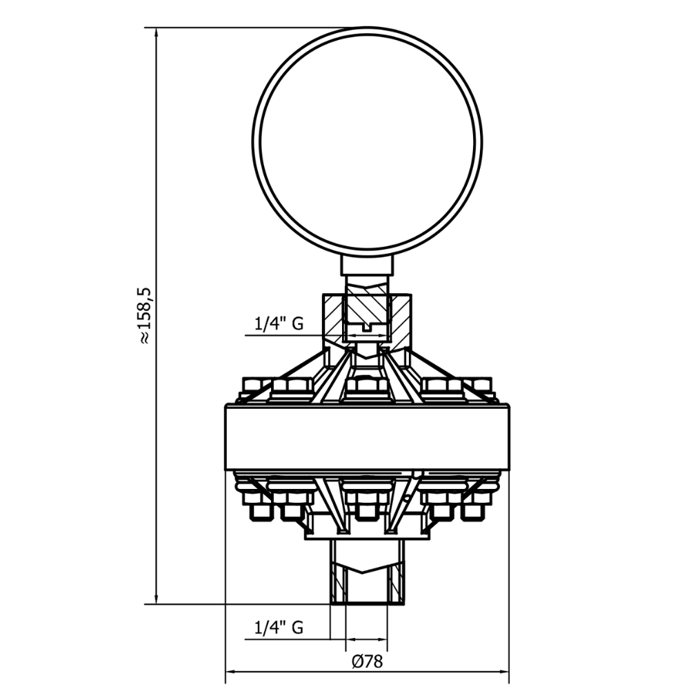 Diaphragm seal pressure gauge dimensions